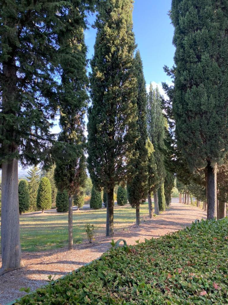 Il Casale Del Cotone Guest House San Gimignano Exterior photo